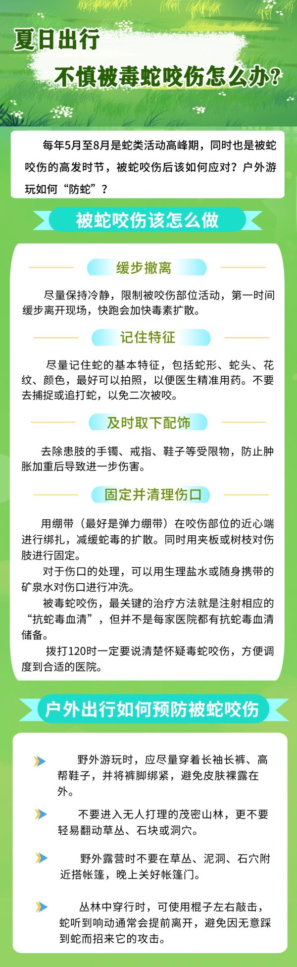 博盈证券 夏日出行, 不慎被毒蛇咬伤怎么办?