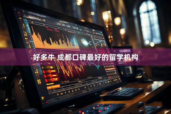 好多牛 成都口碑最好的留学机构